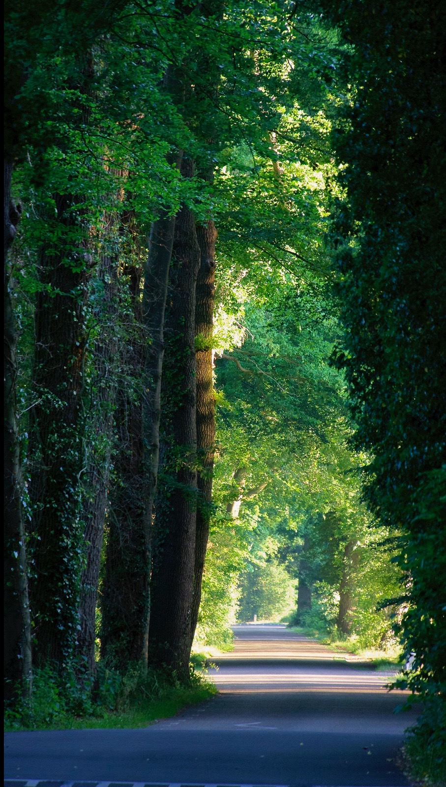 Schermafbeelding 2018-02-25 om 20.40.31.jpg